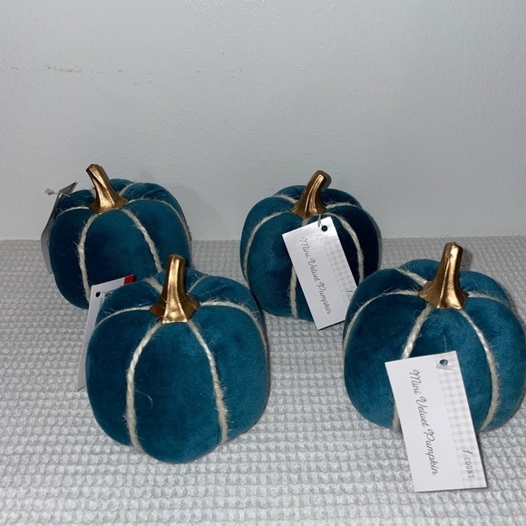 Target Other - Mini velvet pumpkins - set of 4- target bullseye playground